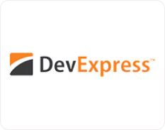 Shopify Pro Designer